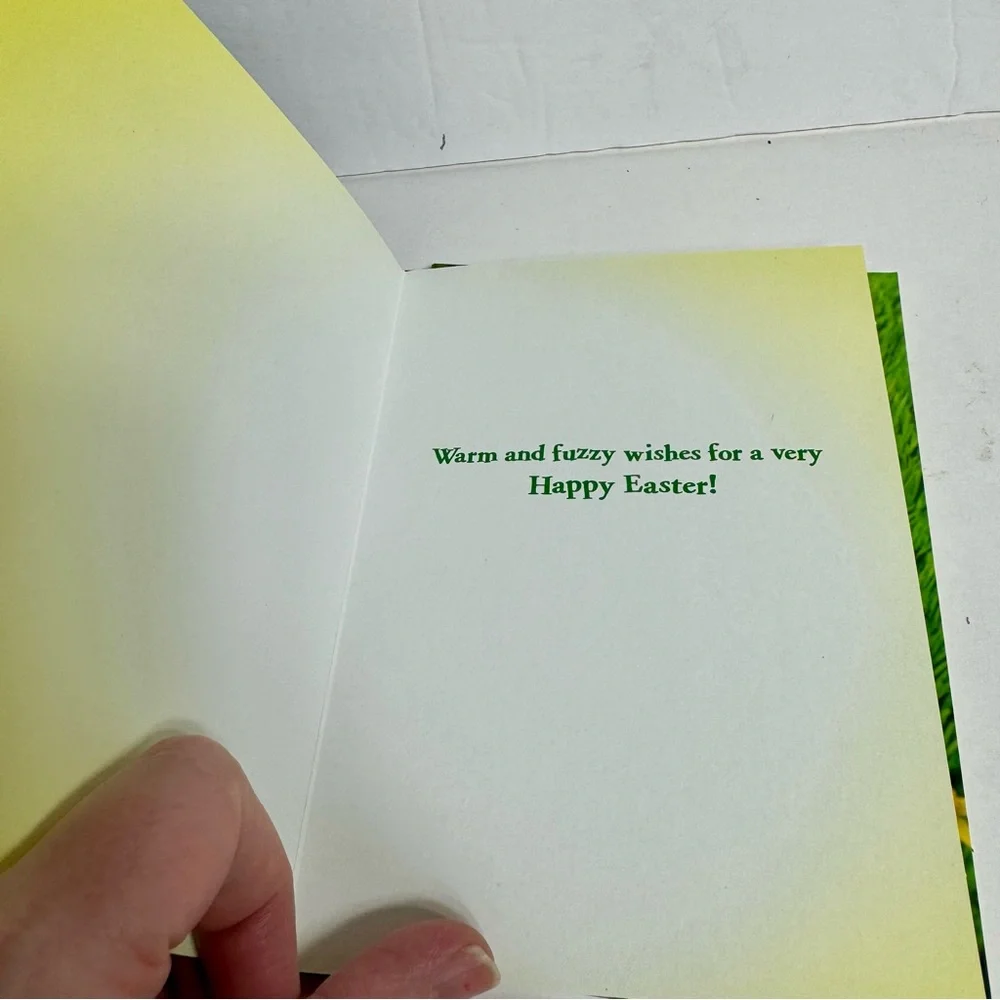 4 Avanti Greeting cards - bunny on back with flowers Holiday: Easter